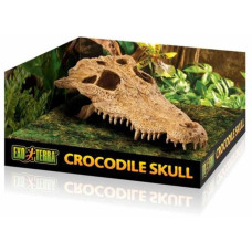 Exo Terra Crocodile Skull